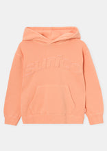 Load image into Gallery viewer, Nostalgia Hoodie