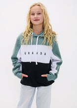 Load image into Gallery viewer, Sports Panel Hoodie