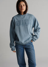 Load image into Gallery viewer, Collegiate Crew