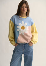 Load image into Gallery viewer, Panel Thrift Crew
