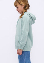 Load image into Gallery viewer, Basic Sunday Hoodie