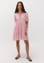 Load image into Gallery viewer, Frankie Mini Dress