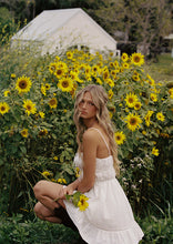 Load image into Gallery viewer, Dahlia Mini Dress