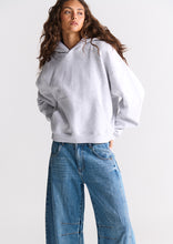 Load image into Gallery viewer, Basic Everyday Hoodie