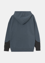 Load image into Gallery viewer, Panel Monster Hoodie