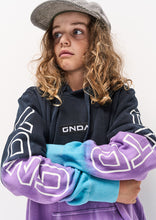Load image into Gallery viewer, Regular Hoodie