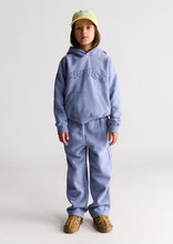 Load image into Gallery viewer, Comfy Hoodie
