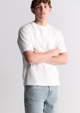 Load image into Gallery viewer, Basic Lenny Tee
