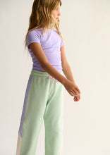 Load image into Gallery viewer, Basic Sophia Tee