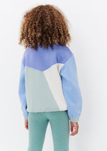 Load image into Gallery viewer, Panel Thrift Crew