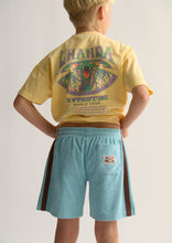 Load image into Gallery viewer, Terry Shorts