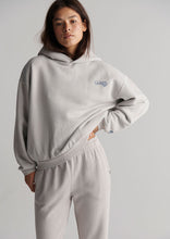 Load image into Gallery viewer, Premium Mellow Hoodie
