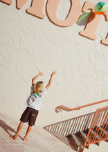 Load image into Gallery viewer, Cargo Hawk Shorts