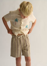 Load image into Gallery viewer, Murphy Shorts