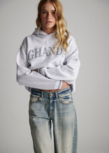Load image into Gallery viewer, Collegiate Hoodie