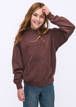 Load image into Gallery viewer, Basic Vintage Hoodie