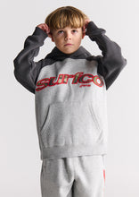 Load image into Gallery viewer, Comfy Raglan Sleeve Hoodie