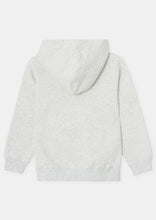 Load image into Gallery viewer, Basic Nostalgia Hoodie