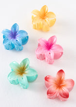 Load image into Gallery viewer, Mini Frangipani Clip Pack