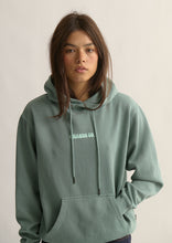 Load image into Gallery viewer, Vintage Hoodie