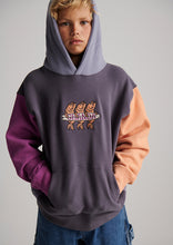 Load image into Gallery viewer, Rocky Panel Hoodie