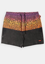 Load image into Gallery viewer, Jam Shorts
