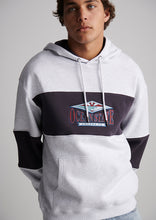 Load image into Gallery viewer, Worn Hoodie