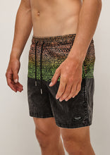 Load image into Gallery viewer, Jam Shorts