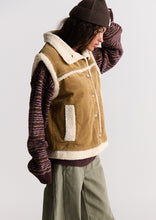 Load image into Gallery viewer, Reversible Pinnacle Vest