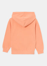 Load image into Gallery viewer, Basic Nostalgia Hoodie