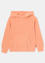 Load image into Gallery viewer, Basic Nostalgia Hoodie