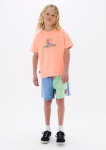 Load image into Gallery viewer, Shakka Shorts