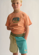 Load image into Gallery viewer, Splice Everyday Shorts