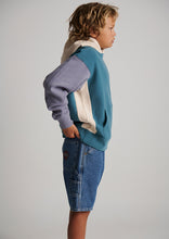 Load image into Gallery viewer, Rocky Panel Hoodie