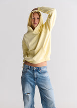 Load image into Gallery viewer, Premium Studio Hoodie