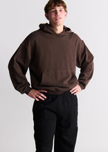 Load image into Gallery viewer, Basic Premium Street Hoodie