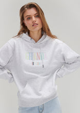 Load image into Gallery viewer, Vintage Hoodie