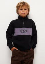 Load image into Gallery viewer, Panel Quarter Zip