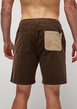 Load image into Gallery viewer, Eric Cord Walk Shorts