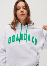Load image into Gallery viewer, Hailey Hoodie