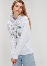 Load image into Gallery viewer, Vintage Hoodie