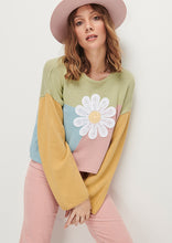Load image into Gallery viewer, Daisy Panel Knit