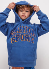 Load image into Gallery viewer, Rocky Hoodie