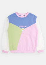 Load image into Gallery viewer, Panel Thrift Crew
