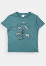 Load image into Gallery viewer, World Turtles Bibs Tee