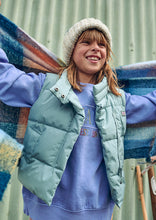 Load image into Gallery viewer, Skate Puffer Vest