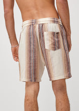 Load image into Gallery viewer, Murphy Shorts