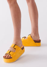 Load image into Gallery viewer, Heidi Platform Slides