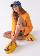 Load image into Gallery viewer, Heidi Platform Slides