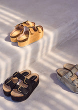 Load image into Gallery viewer, Heidi Platform Slides